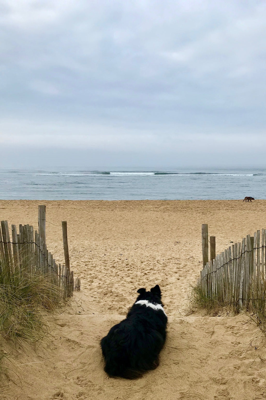 Guidel-Plage : ma plage préférée