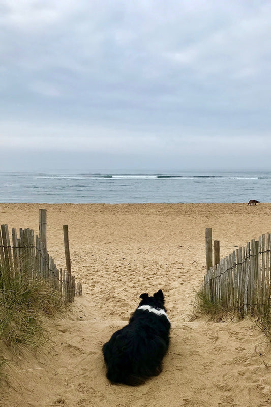 Guidel-Plage : ma plage préférée